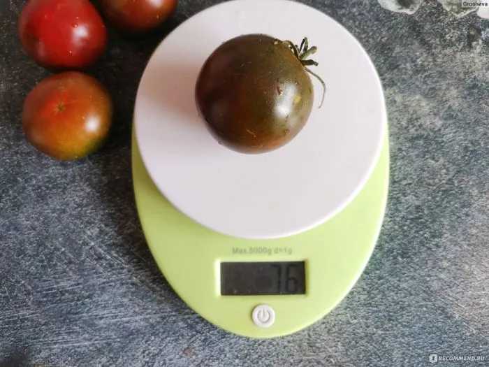 chernaya-pantera-5-175258