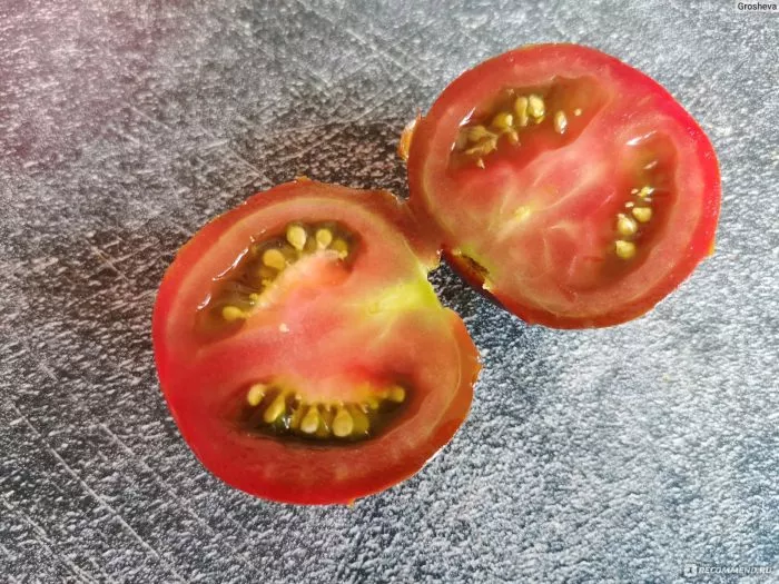 chernaya-pantera-6-175258