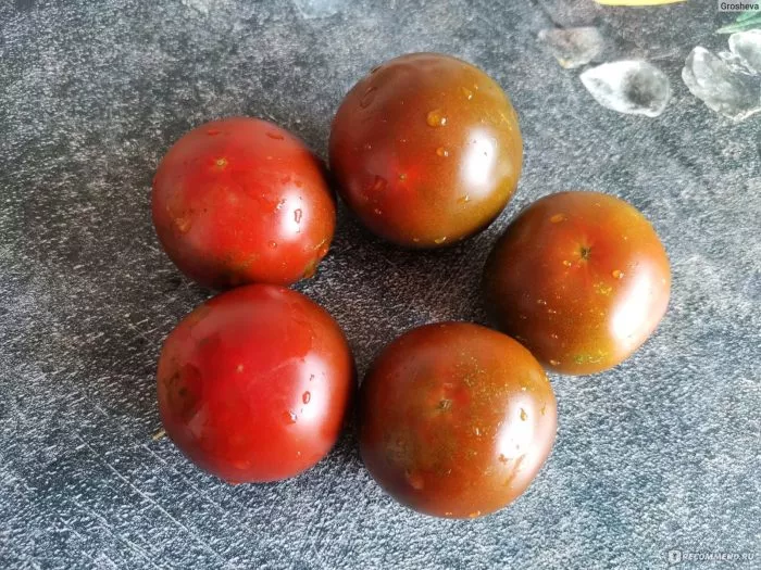 chernaya-pantera-7-175258