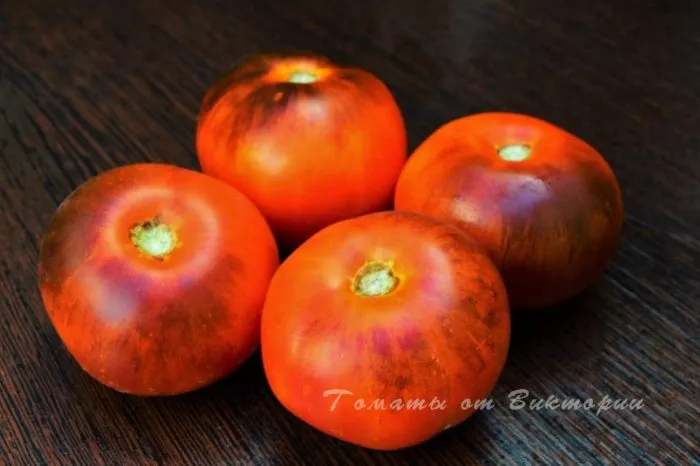 chernaya-russkaya-roza-7-170594