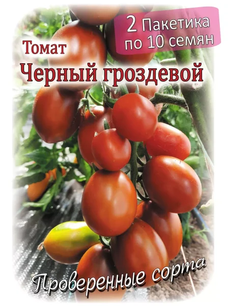 chernyy-grozdevoy-1-171455