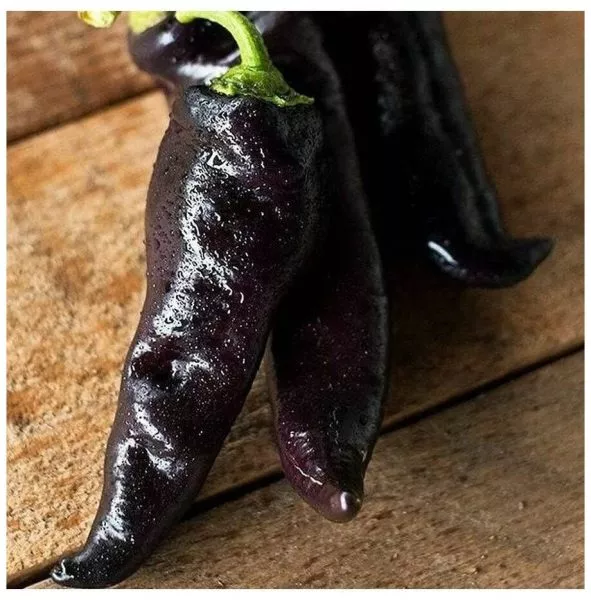 chernyy-markoni-11-184117