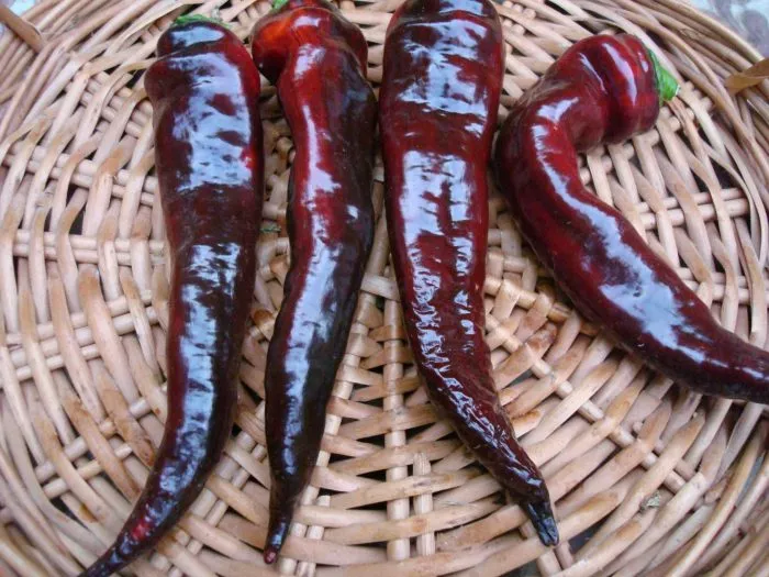 chernyy-markoni-6-184117