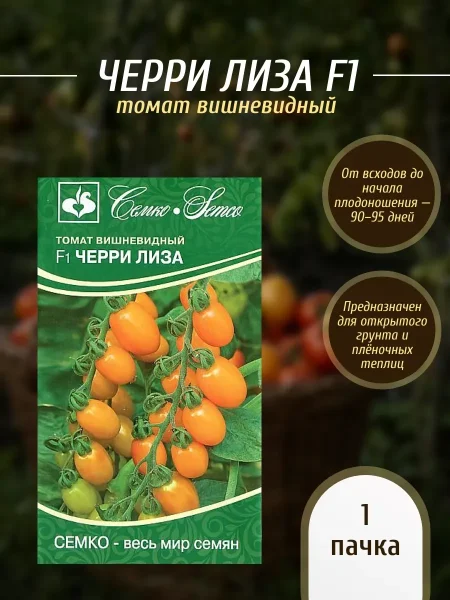 cherri-liza-4-171318