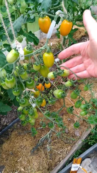 cherri-liza-6-171318