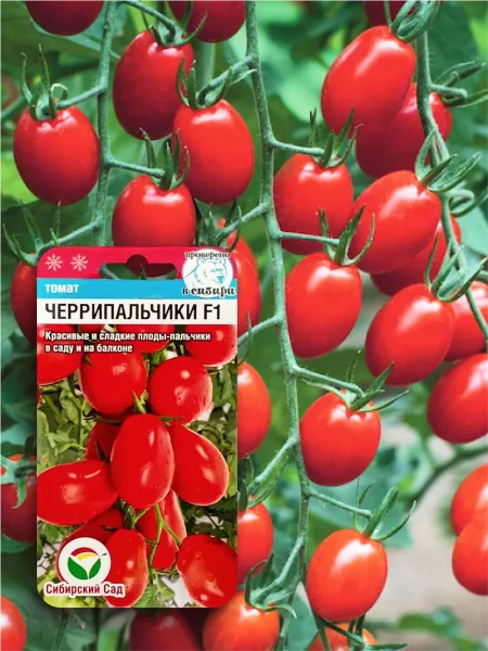 cherripalchiki-3-174349