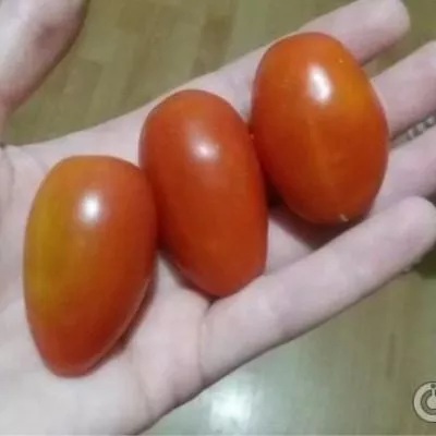 cherripalchiki-7-174349