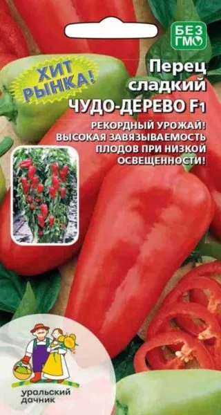 chudo-derevo-1-186353