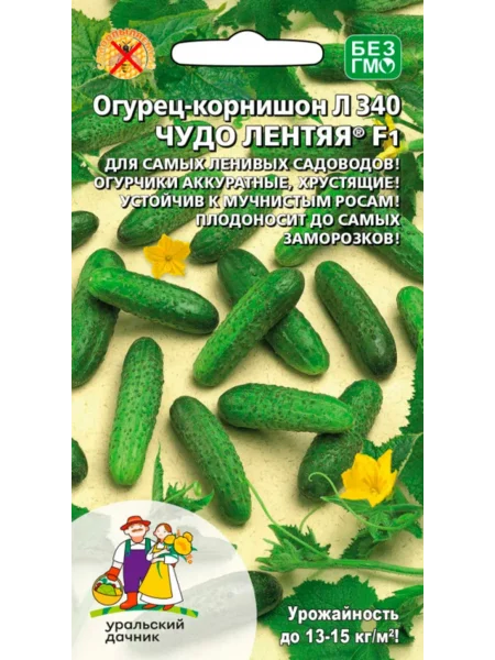 chudo-lentyaya-2-200871