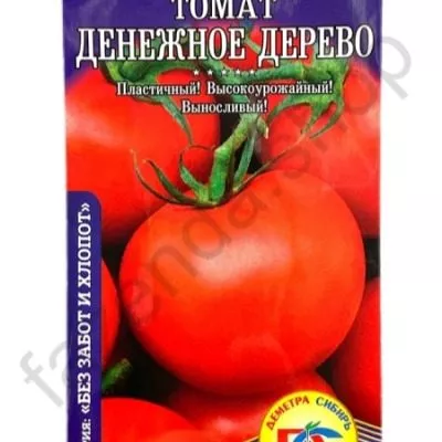 denezhnoe-derevo-6-171472