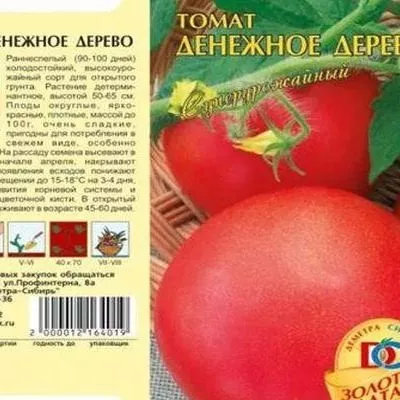 denezhnoe-derevo-8-171472