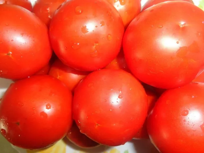 denezhnoe-derevo-main-171472