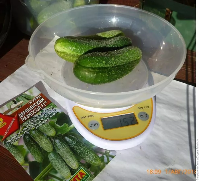 derevenskiy-raznosol-2-197311