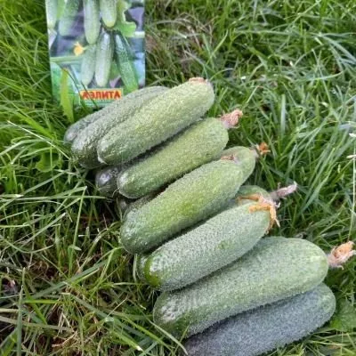 derevenskiy-raznosol-6-197311