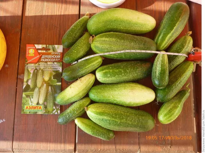 derevenskiy-raznosol-main-197311