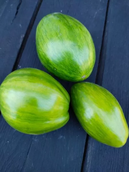 derzkaya-meri-11-175960