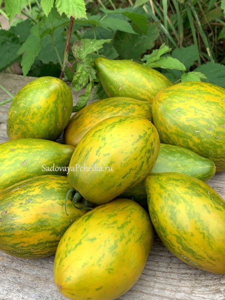 derzkaya-meri-3-175960