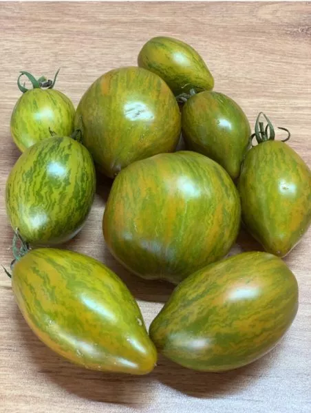 derzkaya-meri-9-175960