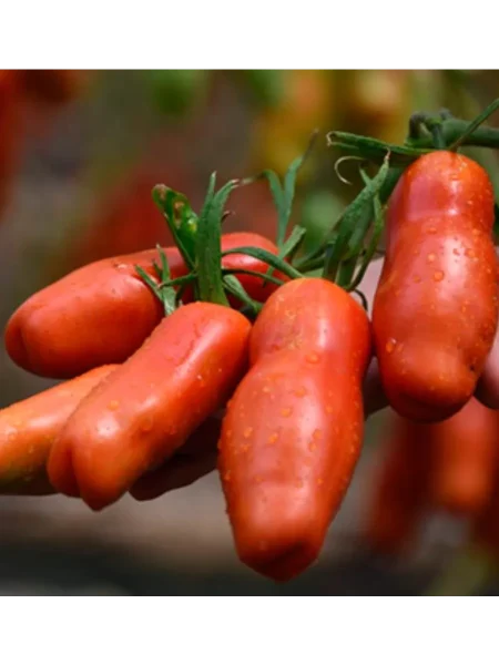 desyatochka-main-171646