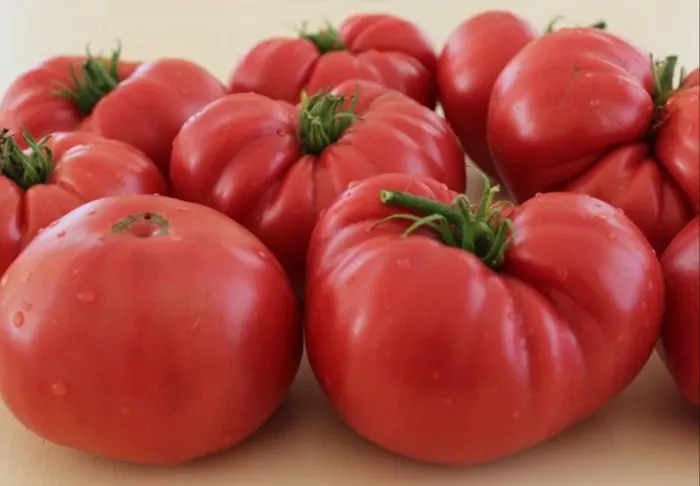 doktor-layl-5-175555