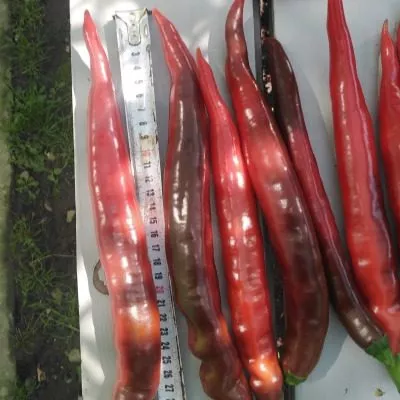 dvoynoe-izobilie-8-188886