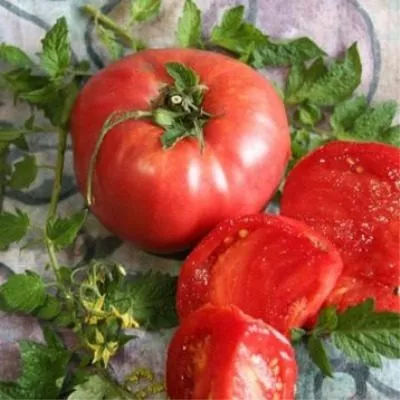 eldorado-main-176367