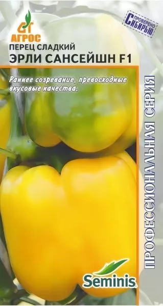 erli-sanseyshn-5-184236