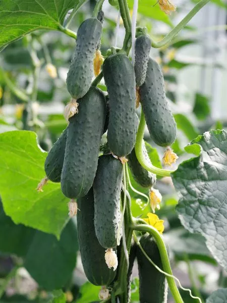 full-haus-main-192158