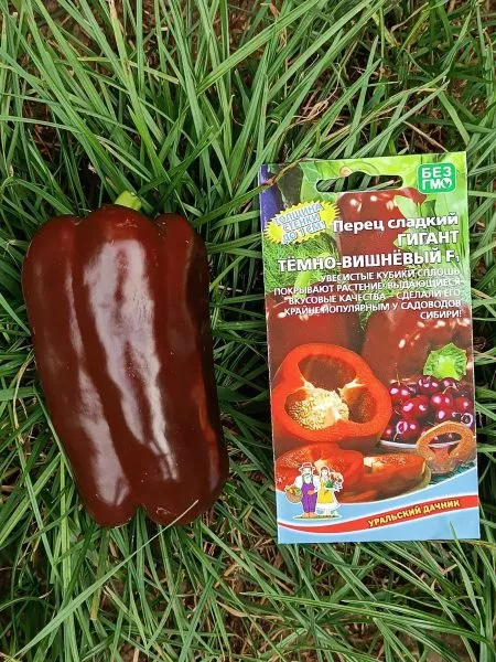 gigant-temno-vishnevyy-9-183669