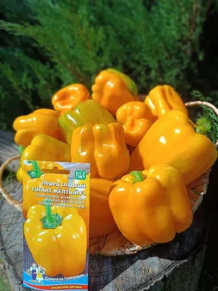 gigant-zheltyy-main-183371