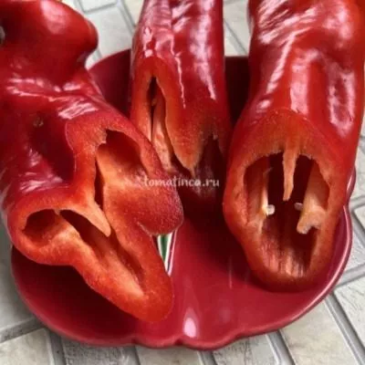 gigantskiy-akonkagua-11-188044