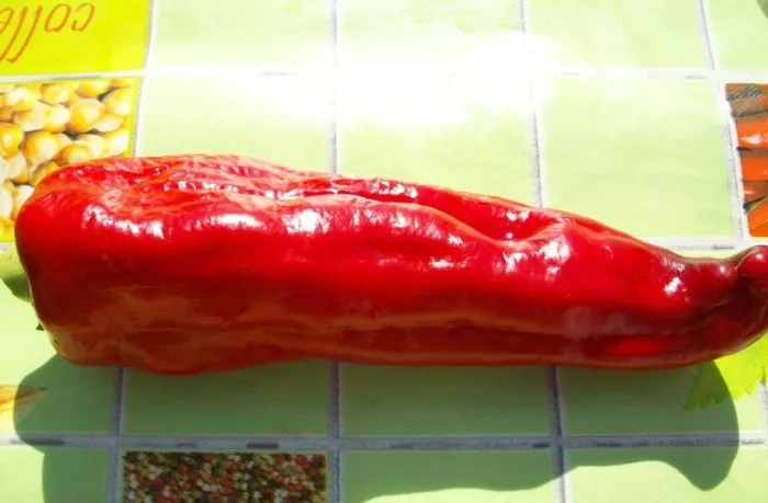 gigantskiy-akonkagua-3-188044