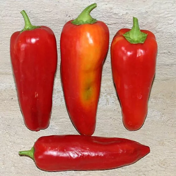 gigantskiy-akonkagua-6-188044