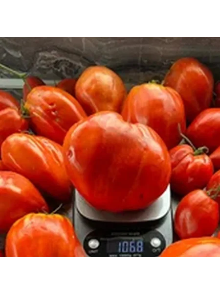 gigantskiy-mech-1-170551