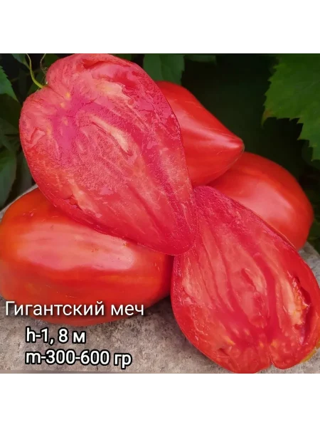 gigantskiy-mech-3-170551