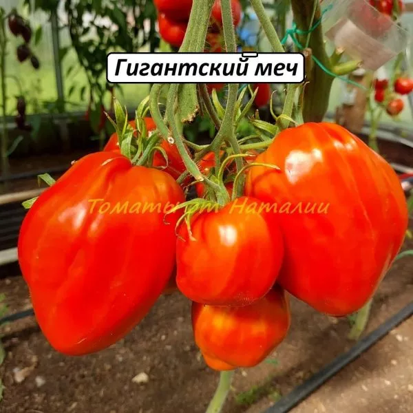 gigantskiy-mech-4-170551