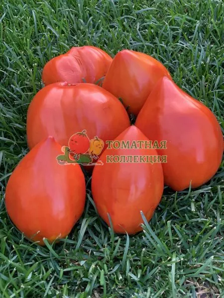 gigantskiy-mech-7-170551