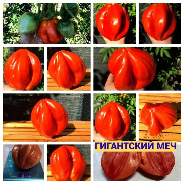 gigantskiy-mech-8-170551