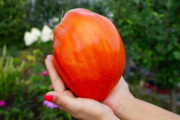 gigantskiy-mech-main-170551