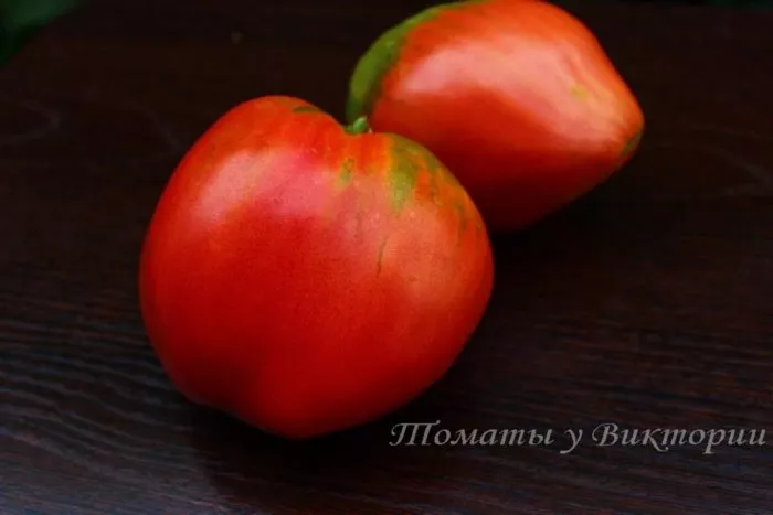 gigantskoe-serdtse-tismana-6-171590