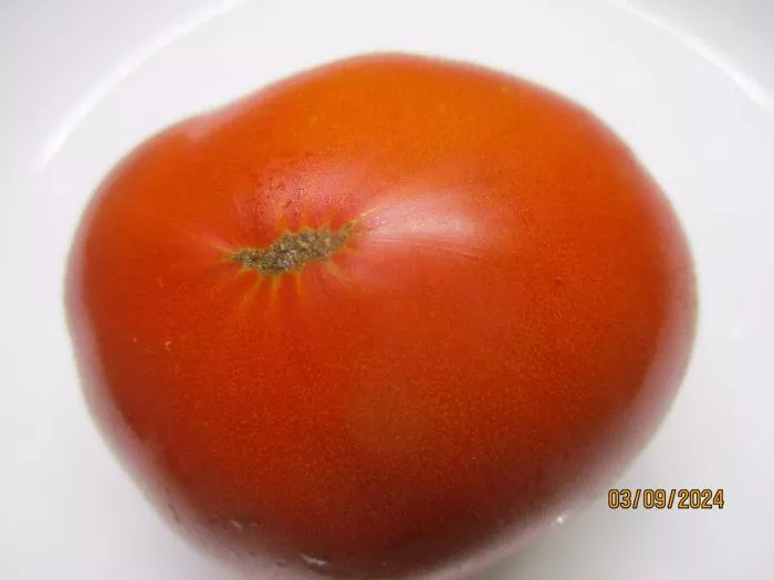 gnom-grushevyy-desert-6-175825