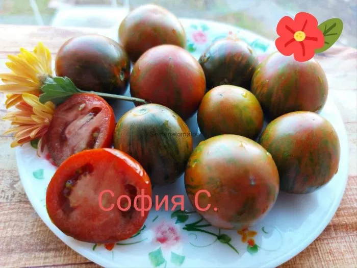 gnom-kruglyy-robin-3-175858