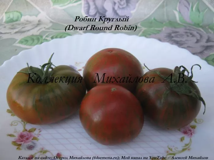 gnom-kruglyy-robin-5-175858