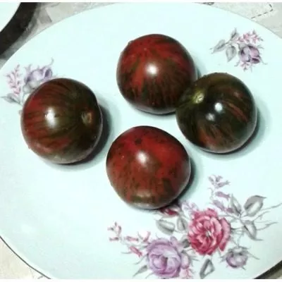 gnom-kruglyy-robin-6-175858