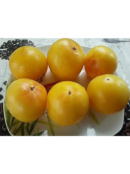 gnom-sladkaya-syu-10-171506