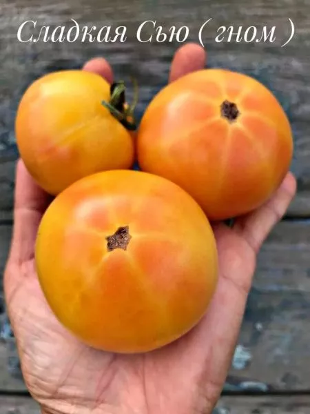 gnom-sladkaya-syu-5-171506