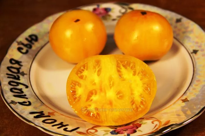 gnom-sladkaya-syu-6-171506