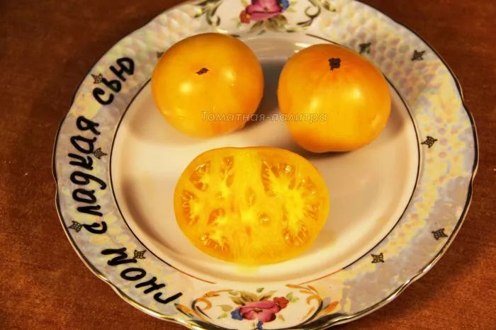 gnom-sladkaya-syu-8-171506