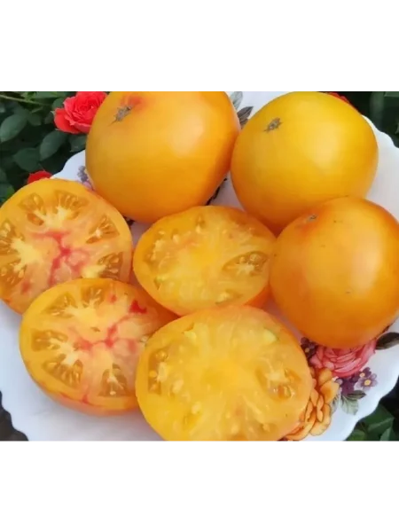 gnom-sladkaya-syu-main-171506