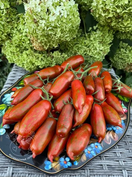 gnom-vosstanie-boksera-12-175457